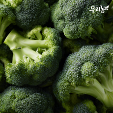 [우리농 산지선별]국내산 브로콜리 (건강즙1포증정), 500g, 1박스