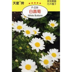 天星牌 白晶菊 White Buttons 種子-野菜部屋 Y16-穗耕種苗, 1包
