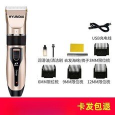 HYUNDAI 理髮器, 1個, 標準套（土豪金）