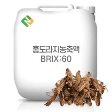 홍도라지농축액 60Brix 200g 샘플, 1개