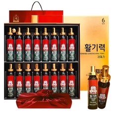 정관장 6년근 홍삼정 활기력 16세트(홍삼농축액 비타민 함량) 320g 가정의달 추석 명절 부모님 여행 선물세트 1개, 20g, 16개