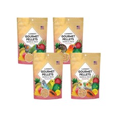 【樂飛寶】熱帶水果美味滋養丸 鳥飼料 鳥點心 - 小型鳥類營養補充 多種水果口味 無人工添加