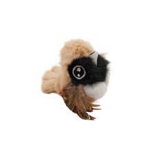 Golden Cat黃金貓 音樂老鼠貓草貓咪玩具 貓玩具 貓草 逗貓, 啾啾鳥-麻雀, 1個