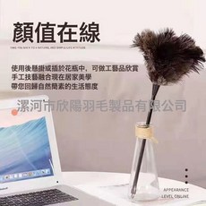 NBZH 靜電真鴕鳥毛撣子家用除塵不掉毛車用清潔掃灰加厚雞毛撣打掃衛生, 1個, 黑色塑料手柄撣子約65cm:如圖