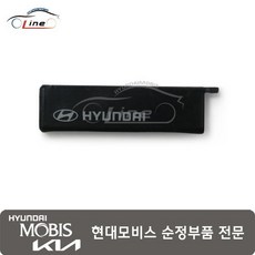 팰리세이드 25 LX3 프로텍트 키 81995 N1000