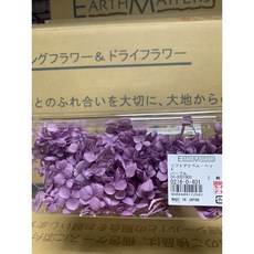日本大地農園 不凋繡球花-安娜繡球(以克計價)，花材飽滿，色彩柔和，持久保鮮, New 401紫色, 1個