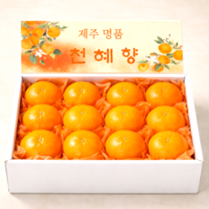 당도보장 제주 선물용 천혜향 선물세트, 1박스, 천혜향 특상품 3kg