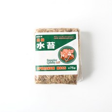 갑조네 난초전용 고급수태(75g), 1개, 75g