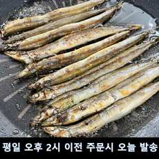 반건조(30%건조) 양미리 암수혼합 알배기 랜덤, 1개, 20미(600g내외) x 1