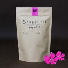 그림봉투화분 패랭이꽃, 단품