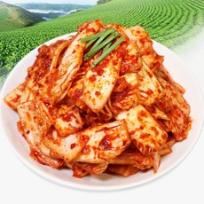 밥도둑들 겉절이 김치, 1개, 2kg