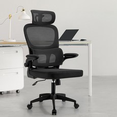 Frokom Living 사무용 의자 인체공학 자세교정 3D 요추보호 컴퓨터 의자, 블랙