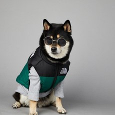 THE DOG FANS 狗狗背心 寵物棉服 衝鋒衣, 1個, 綠,S