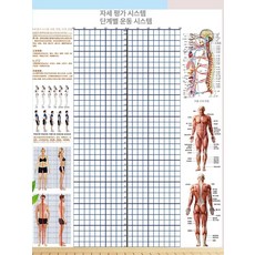 분석표 체형측정 평가표 교정 헬스장 격자 스크린 자세 측정도구