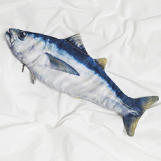 리빙릿 생선필통 리얼한 광어 파우치 특이한 학용품, 1개, 참치