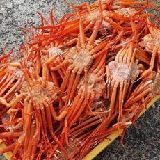 국내산 자숙 홍게 C급 10kg, 1개, 상세페이지 참조