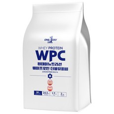 원데이뉴트리션 WPC 웨이프로틴 단백질 포대유청, 2kg, 1개