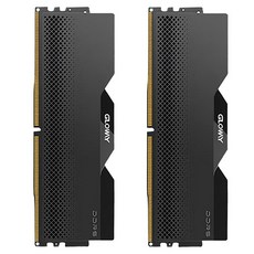 글로웨이 DDR5 데스크탑 히트싱크 램 블랙 16GB GW6800N16G-BS 2개입, 1개 1개