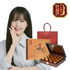 [농협홍삼] 한삼인 기력보감환 3.75g 25환+쇼핑백, 25정, 1세트