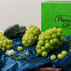 샤인머스켓 선물세트, 1.2kg(2수)