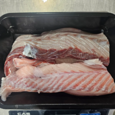 국내산 제철 삼치회 대삼치회 필렛 생물 통영 초장포함, 1개, 500g