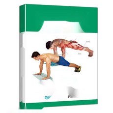 근력운동을 위한 해부학 맨몸운동 홈트레이닝 도감