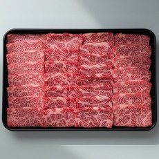 1++ 한우 모듬세트 소고기 구이용, 1개, 1kg