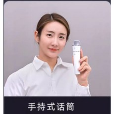SHIDU SD-S516 小蜜蜂麥克風 教學用耳掛麥克風, 手持式