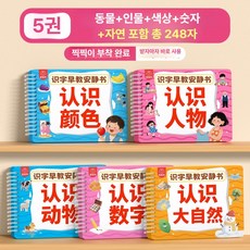 중국어 간화자 병음 읽기 책 초보자용 중국도서 카드형 단어카드 공부, 1개, 중형 5권 세트 248자