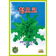 쌈채소 씨앗 모음 종자 상추 치커리 로메인 깻잎 쌈채, 1개