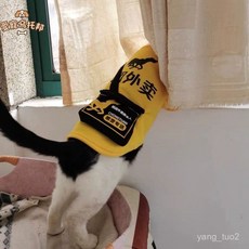 貓咪衣服 小貓寵物服裝 搞怪薄款 搞笑變身泰迪快遞狗狗, 黑色-順風,M碼【2.5-3.5公斤】, 1個