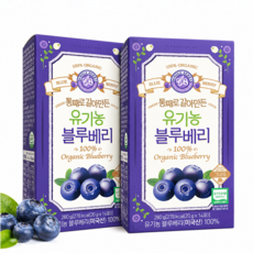 홀베리 통째로 갈아만든 유기농 블루베리, 20g, 20ml, 28개