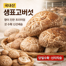 (화윤스토리) 향이 다른 국내산 생표고버섯 (프리미엄/당일수확/요리용), 1개, 1kg(중품)