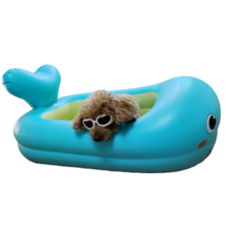 강아지튜브 물놀이 수영 애견 무지개 오리 돌고래 튜브, 1개