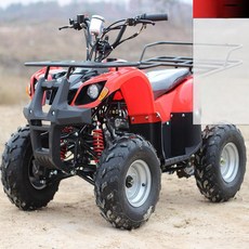 4륜오토바이 4발 스포츠 산악 레저용 오토바이 해변 산악용 레저, 1 7인치 단일 2.5 플라스틱 단일 없음