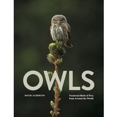 (영문도서)Owls: Nocturnal Birds of Prey from Around the World Hardcover, Amber Books, English, 9781838866600