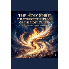 (영문도서)The Holy Spirit - The Forgotten Person of The Holy Trinity Paperback, Clarivo Publications, English, 9798235873834