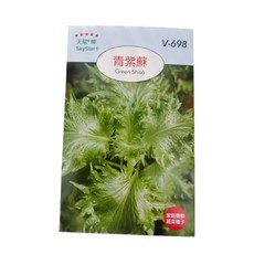 天星牌 青紫蘇種子 彩色原包裝 蔬菜種子 小包裝 輕鬆種植 健康美味, 1個