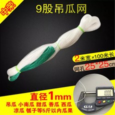 種瓜豆角弔瓜絲瓜苦瓜黃瓜百香果專用網植物爬藤網種植網攀爬農用TJBZ, 2*100粗9股【孔25吊瓜】, 1個