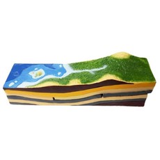 수업표본 지질연대 표준화석 지층모형/ 과학자료 학습교구 지형특성, 1개