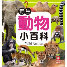 幼福文化 正方形 野生動物小百科
