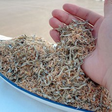 바다어보 국산 밥새우 섞인 잔멸치 / 주먹밥 지리멸치 아기새우, 1개, 500g