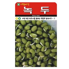 아람종묘 녹두 씨앗, 5개