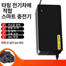 전기 자전거 자동차 배터리 충전기 삼륜 센서 자토바이, 3.5s 48V 12Ah T형 범용, 1cm, 1개