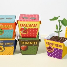 친환경 종이화분 에코팟/식물키트 화분 캐릭터패키지, 해바라기