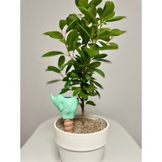 코끼리 모양 자동급수 화분 급수기 테라코타 식물 물주기, 핑크, 민트, 1세트