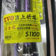 海力士 EVO 紫金龍 釣竿 天亞/鐵板兩用竿 80g-200g/100g-240g, 80-200g槍柄