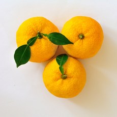 [새벽농장] 자연재배 고흥 햇 유자 생과, 1개, 중과 5kg