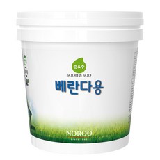 순앤수 항균 페인트 베란다용, 순앤수 베란다용 그레이, 2L, 1개