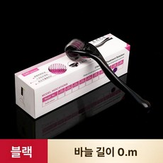이오 mts롤러 mts mts스탬프 mts롤러후기 니들롤러, 블랙 니들 0.3mm, 1개, 1L